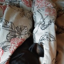 ���� ����, ������, 69 ��� - ��������� 26 ������ 2022