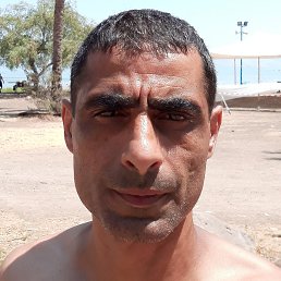 Zopik, ���������, 56 ���