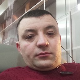 �����, ������, 41 ���