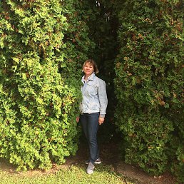 �����, ���������