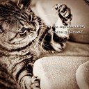 ���� ������, ����������� - ��������� 3 ������� 2022 � ������ ���� ����������