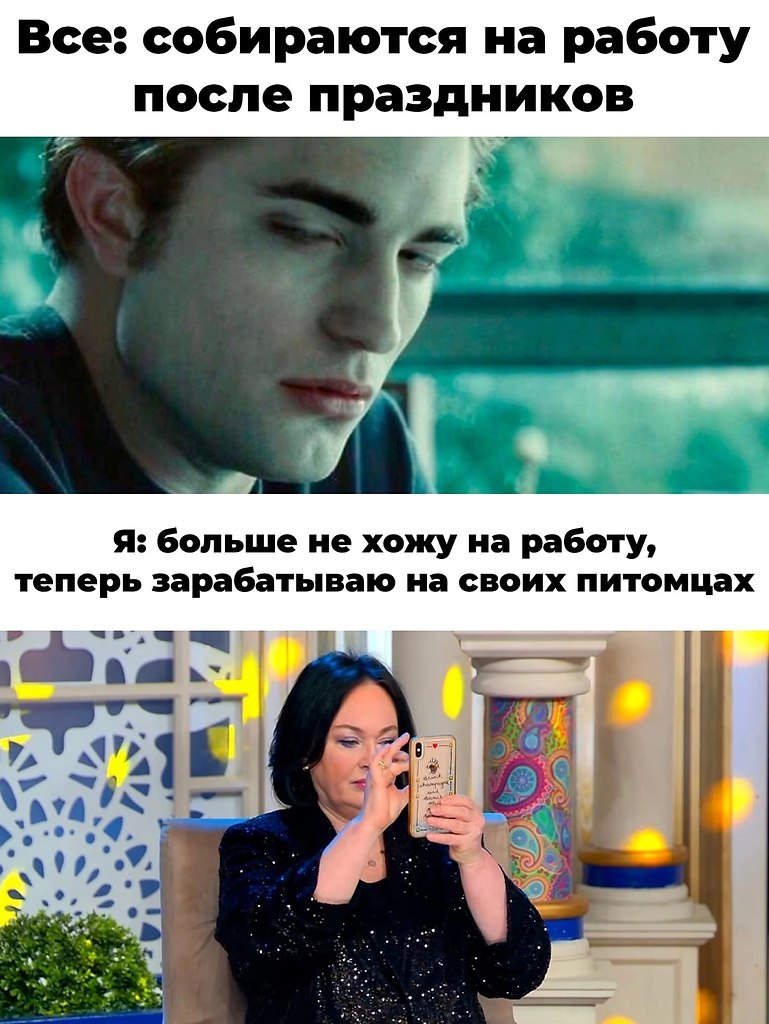    - 2  2023  17:56