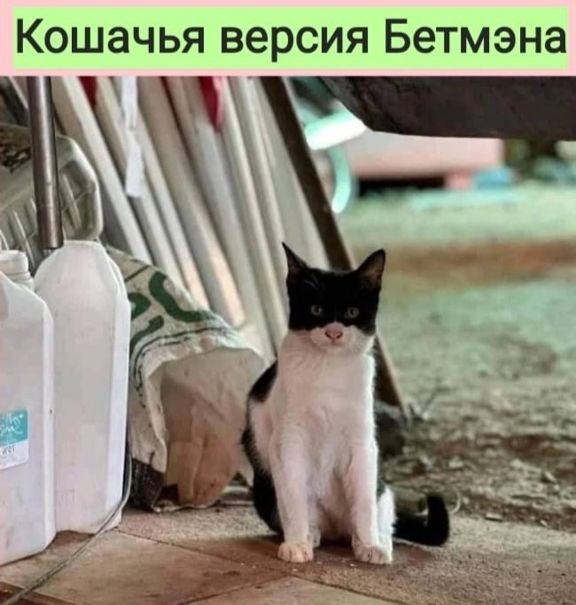     !
