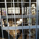���� ������, ������, 39 ��� - ��������� 20 ����� 2022 � ������ �������� ��������