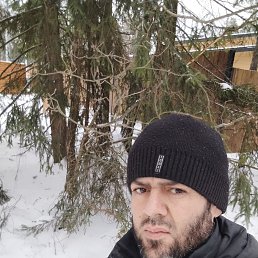 ���� �������, ������, 38 ��� - ��������� 29 ������ 2022