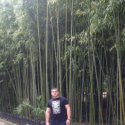 ������, ������, 33 ����