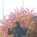 ���� �����, ������ - ��������� 11 ��� 2022 � ������ ���� ����������