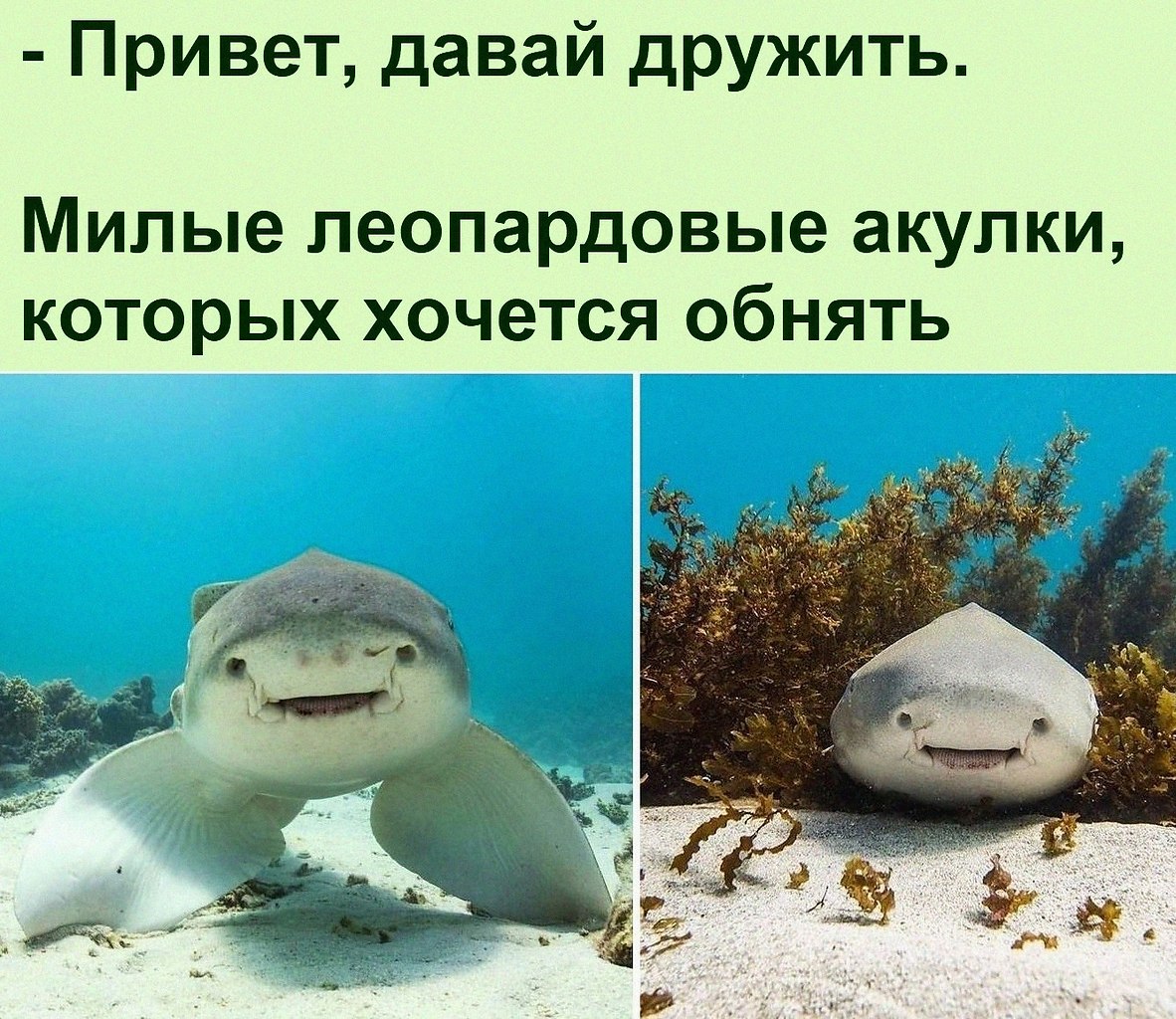   :D - 25  2022  08:49