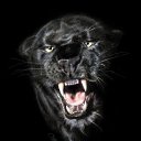 ���� �������, ������, 51 ��� - ��������� 5 ������� 2023 � ������ ���� ����������