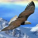 ���� Oybek, �������, 32 ���� - ��������� 16 ������� 2023 � ������ ���� ����������