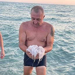 ���� ��������, ������, 55 ��� - ��������� 31 ������� 2022