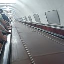���� �����, ����������, 56 ��� - ��������� 5 �������� 2022 � ������ ���� ����������