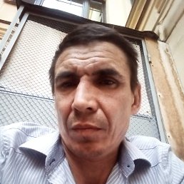 , 53 ,  