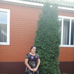 ���� ����, ����, 63 ���� - ��������� 17 ������ 2023