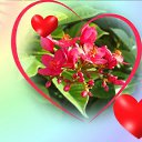 ���� Gerar, ��������� ������� - ��������� 24 ��� 2022 � ������ ���� ����������