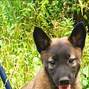 ���� ������, ������ - ��������� 9 ������ 2022