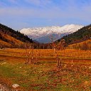 ���� ��������, ������-��-���� - ��������� 30 �������� 2022 � ������ ���� ����������