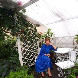 ������, ����, 71 ���