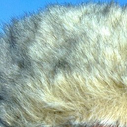 �����, ���������, 26 ���