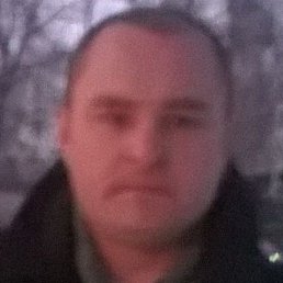 �������, �������, 46 ���