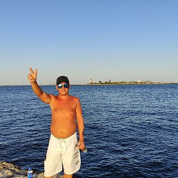 �����, ����, 36 ���