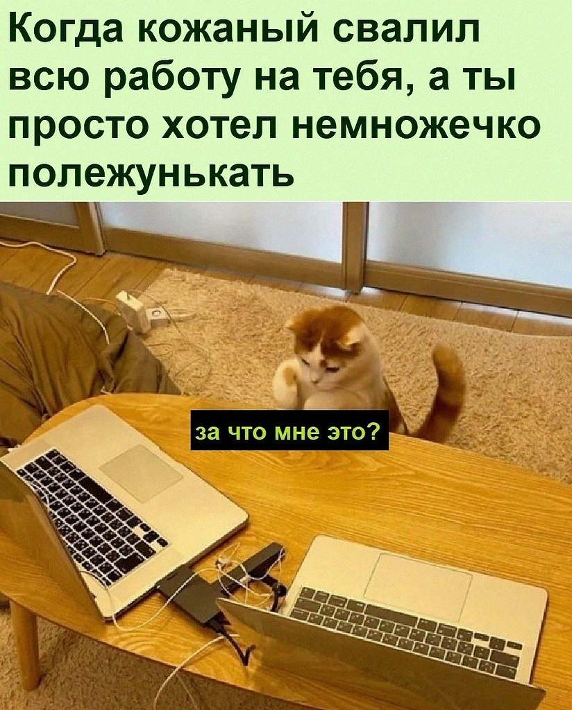 ������ ��������� :D - 20 ������� 2022 � 20:28