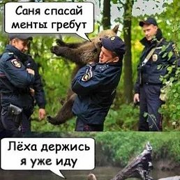 ���������, ������, 50 ���