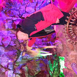 �������, ������������, 48 ���