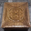 ���� �����, �������� - ��������� 28 ��� 2022 � ������ ���� ����������