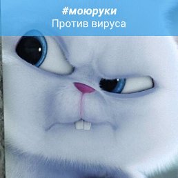 ����, �������, 48 ���