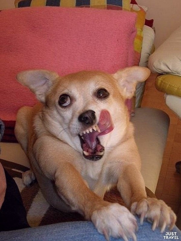 oa oe eooe a ca. opo oe o aac a e   e, ... - 2