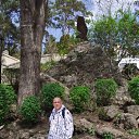 ���� ����, ���������, 56 ��� - ��������� 1 ��� 2022 � ������ ���� ����������