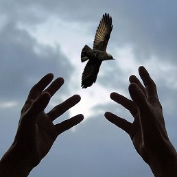 ������, �����, 34 ����