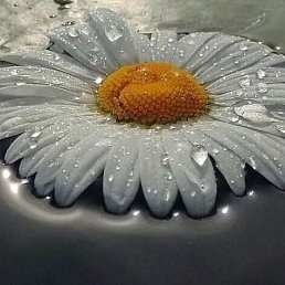 ���� �������, ����������, 52 ���� - ��������� 3 ������� 2023