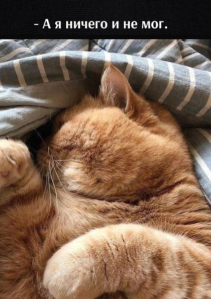       - 27  2022  11:12 - 3