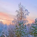 ���� ������, ������, 69 ��� - ��������� 11 ������� 2022 � ������ ���� ����������