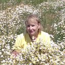 ���� �������, ������� - ��������� 12 ������� 2022 � ������ ���� ����������