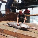 ���� ���������, �����-���������, 55 ��� - ��������� 8 ���� 2022