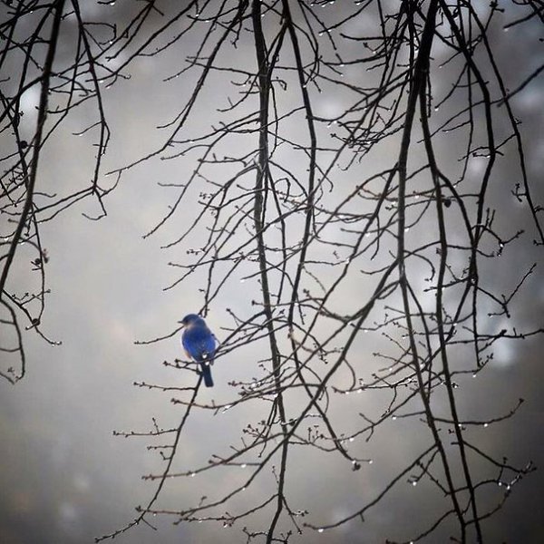 И день – во мгле. И ночь – во мгле. И солнце светит, но не греет. На нашей маленькой Земле Мы все ...