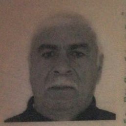 �����, ����, 65 ���