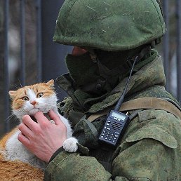 �������, ���������, 38 ���