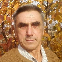 ���� �����, ���������, 58 ��� - ��������� 29 ������� 2022