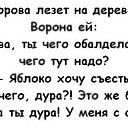 ���� ����, �����-���������, 63 ���� - ��������� 18 ������� 2023 � ������ ���� ����������