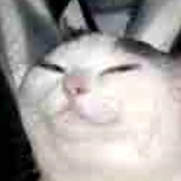 Ivkxx, �����, 23 ����