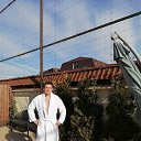 ���� ���������, ���������, 53 ���� - ��������� 17 ������� 2022