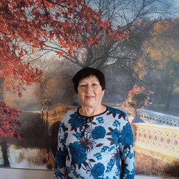 ���� ������, ��������, 71 ��� - ��������� 4 ������ 2022