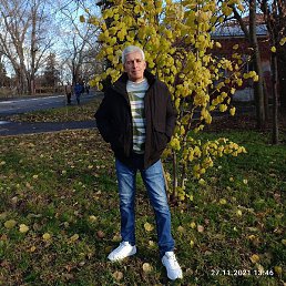 ������, �����, 50 ���