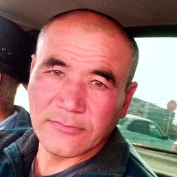 ���������, �������, 51 ���