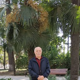 ���� ������, ����, 38 ��� - ��������� 31 ����� 2022