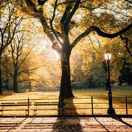 Kim, ���������